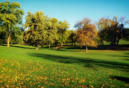 Rolling green grass and autumn trees in Keithville, LA